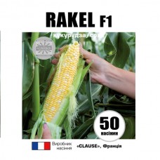 РАКЕЛЬ F1 / RAKEL F1 РАКЕЛЬ F1 / RAKEL F1